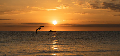 Fischerboot und Möwe - Sonnenuntergang