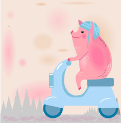 Pig on a motorcycle with flowers. Pig rides through the forest. Vector illustration.