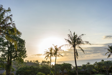 perfect paradise sunset scene with palms and ocean