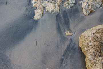 texture of wet sand. The surface of the wet sand on the beach.
