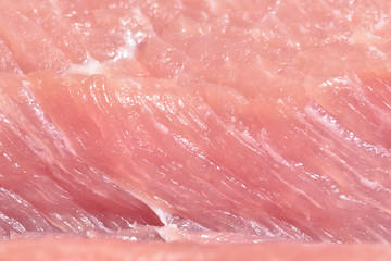 Beautiful and fresh pink pork meat close-up. Macro