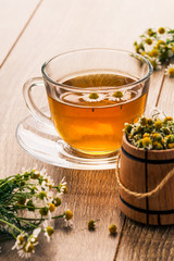 Glass cup of green tea with white chamomile flowers