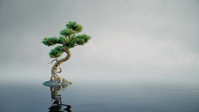 Lonely small tree reflection in water with waves. Calm relaxing waves water surface lonely concept. Loop animation.