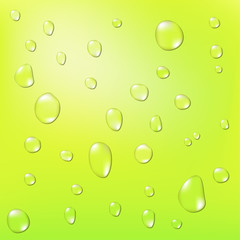 water drops on green background