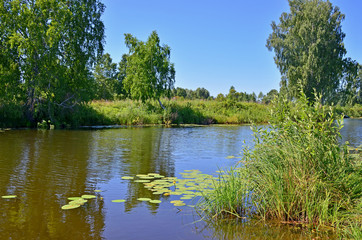 Fototapeta na wymiar Lake landscape in the summer with trees and flowers