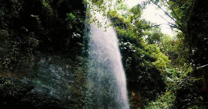 De Los Tilos Waterfall, LaPalma, Canaries - graded Version