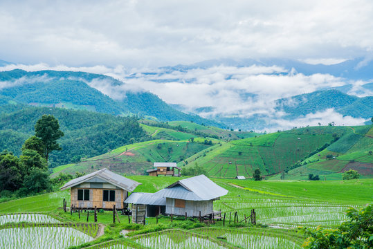 View Terraced Paddy Field in Mae-Jam Village, Chaingmai, Thailand