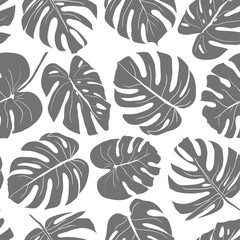 Seamless leaves pattern. Hand drawn illustration for fabric, wrapping, prints, cards, gray monstera leave © DafnaDar