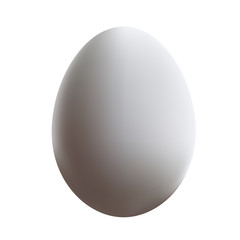 white chicken egg