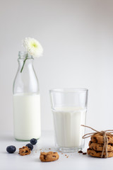 Glass of milk and cookies on white background. high key