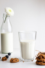 Glass of milk and cookies on white background. high key