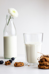 Glass of milk and cookies on white background. high key