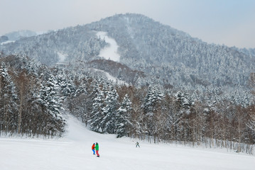 Fototapeta premium Man play snow board at Furano snow mountain in Hokkaido, Japan