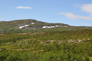 Fototapeta na wymiar Saltfjellet