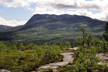 Saltfjellet
