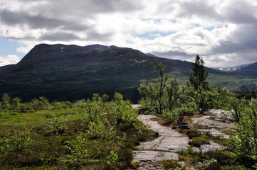 Saltfjellet
