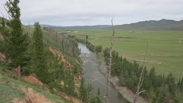 Trees and cliff at the Orkhon river in Mongolia.