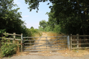 Boundary fence leading to rural track
