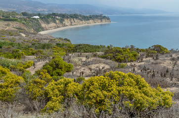 Fototapeta na wymiar Dume cove view from Dume Point Malibu, California, USA