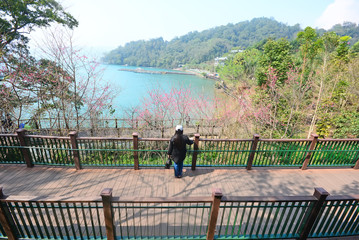 Girl stand alone on the wooden walk way seeing Sun Moon lake view and cherry blossom tree around, Sun Moon lake, Taiwan