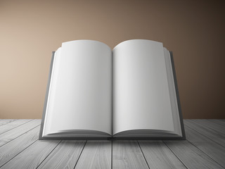 Blank open book