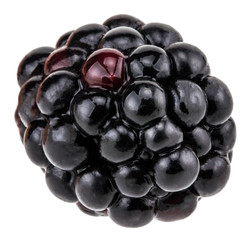 Blackberry isolated on white background clipping path