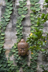 Budha's head on wall