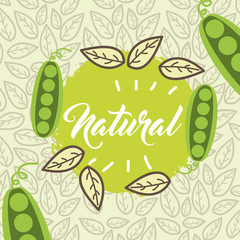 food organic nature