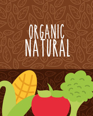 food organic nature