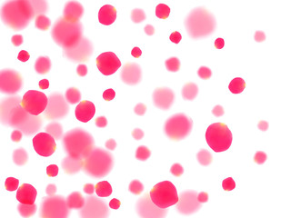 Pink rose petals falling vector valentine background.