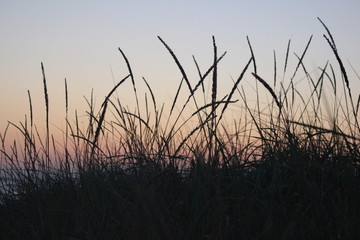 sunset in dunes
