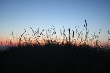 Obraz premium sunset in dunes