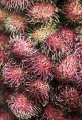 Fresh rambutan fruit closeup detail