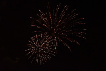Obraz premium Feu d'artifice 14 juillet
