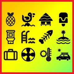 Pineapple with leeves, summer temperature and island related icons set