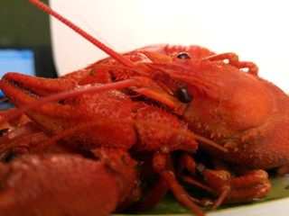food. boiled cancer. Crustacea is bright red.