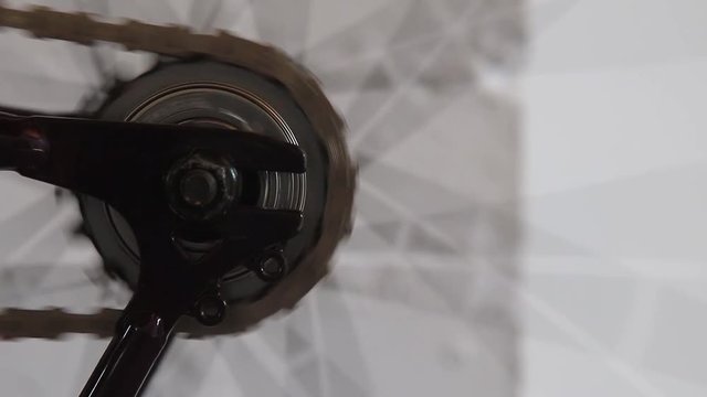 Chain and sprocket detail on a fixie style bicycle. Rotating and power transfer.