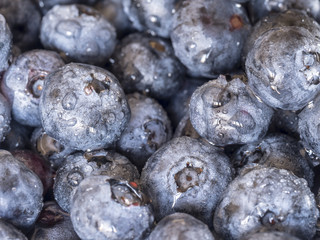 Close up of blueberries