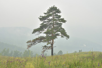 siberia landscape