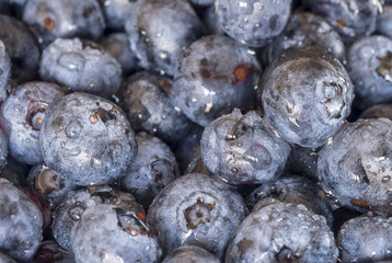 Close up of blueberries