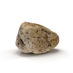 Small Sea Rock with Holes on white. 3D illustration