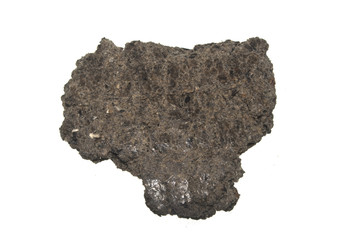 pressed seeds isolated on white background