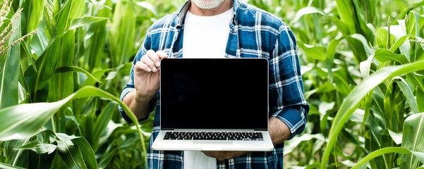 Farmer in the field showing laptop screen, closeup photo