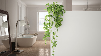 Green interior design concept background with copy space, foreground white wall with potted plant,...