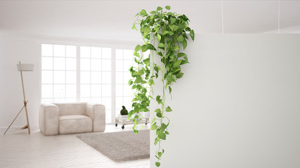 Green interior design concept background with copy space, foreground white wall with potted plant,...