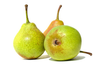 Several pears on white background for design