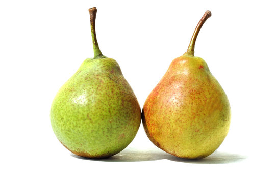 Pair of pears on a white background