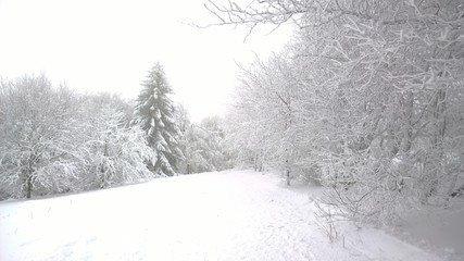 Fototapeta premium Winterlandschaft