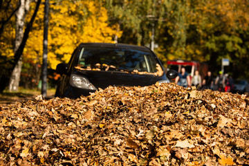 The car is parked in a pile of autumn leaves