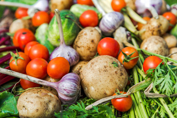 Assorted vegetable background, healthy organic vegetables, fresh produce on farmer market